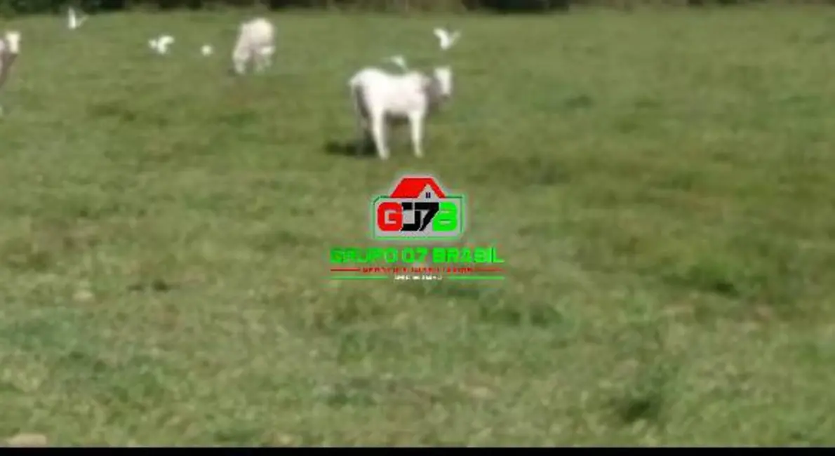 Foto 1 de Fazenda / Haras à venda, 249m2 em Loteamento Villa Branca, Jacarei - SP
