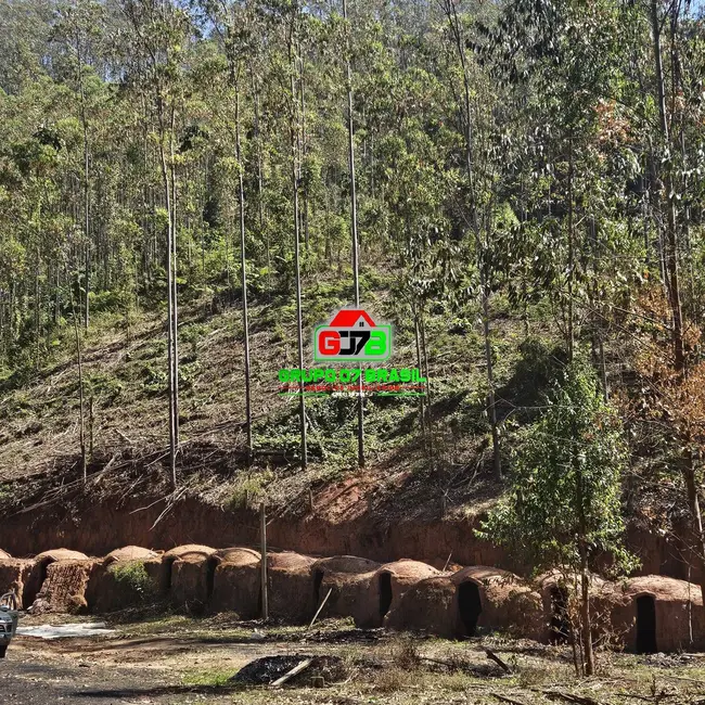 Foto 7 de Fazenda / Haras à venda, 314m2 em Paraibuna - SP