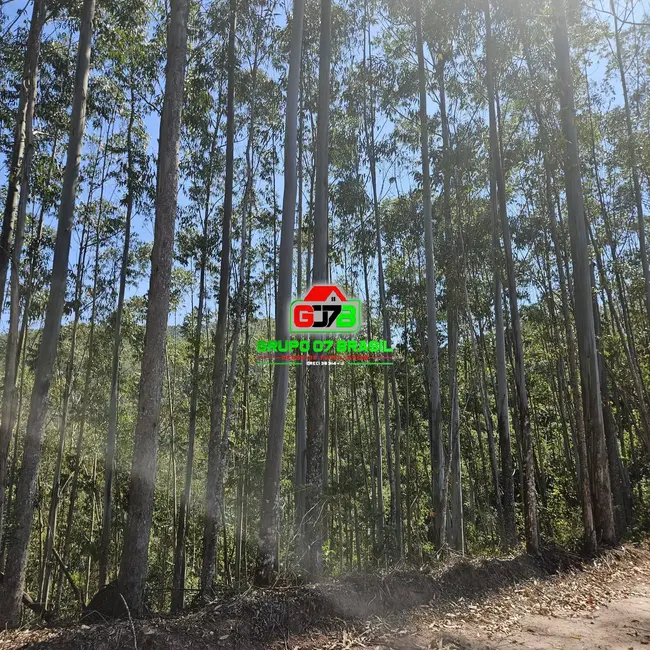 Foto 4 de Fazenda / Haras à venda, 314m2 em Paraibuna - SP