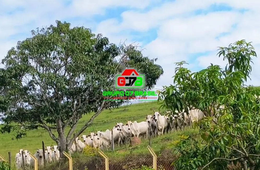 Fazenda / Haras à venda, 58m2 em Pagador de Andrade, Jacarei - SP - imagem 1 Foto 1 de Fazenda / Haras à venda, 58m2 em Pagador de Andrade, Jacarei - SP