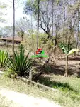 Imagem 15