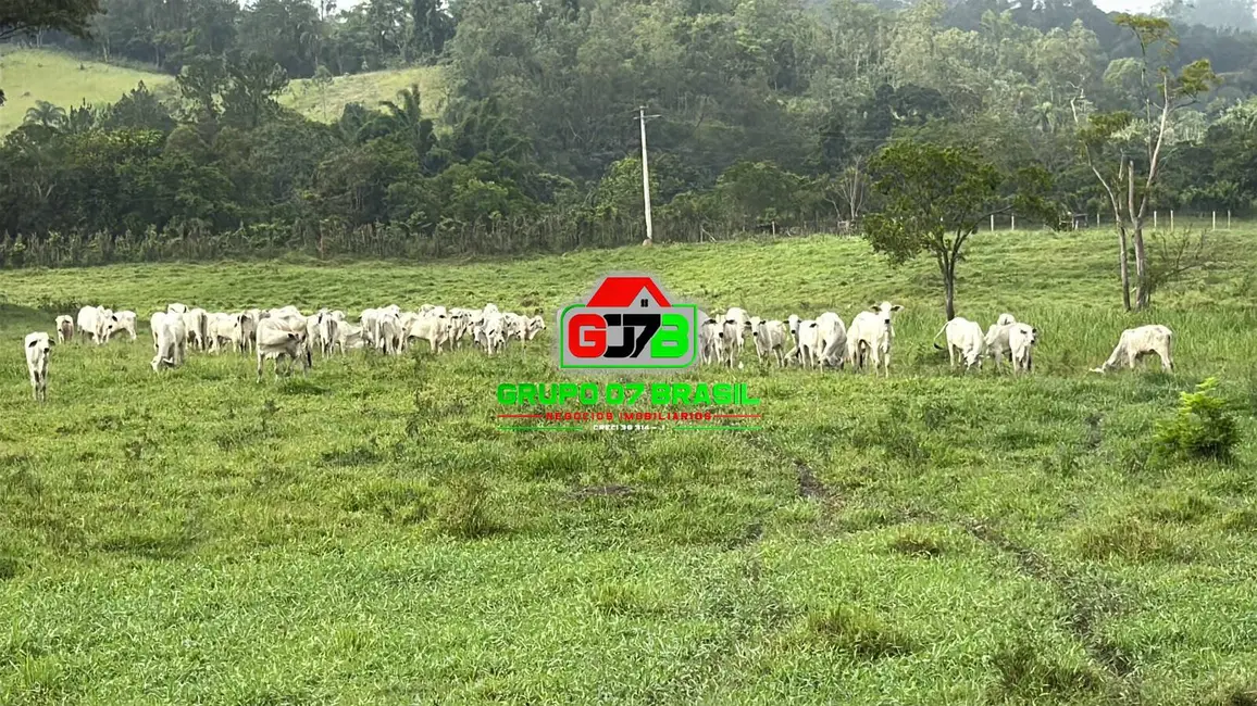 Fazenda / Haras à venda, 249m2 em Jardim Califórnia, Jacarei - SP - imagem 2 Foto 2 de Fazenda / Haras à venda, 249m2 em Jardim Califórnia, Jacarei - SP