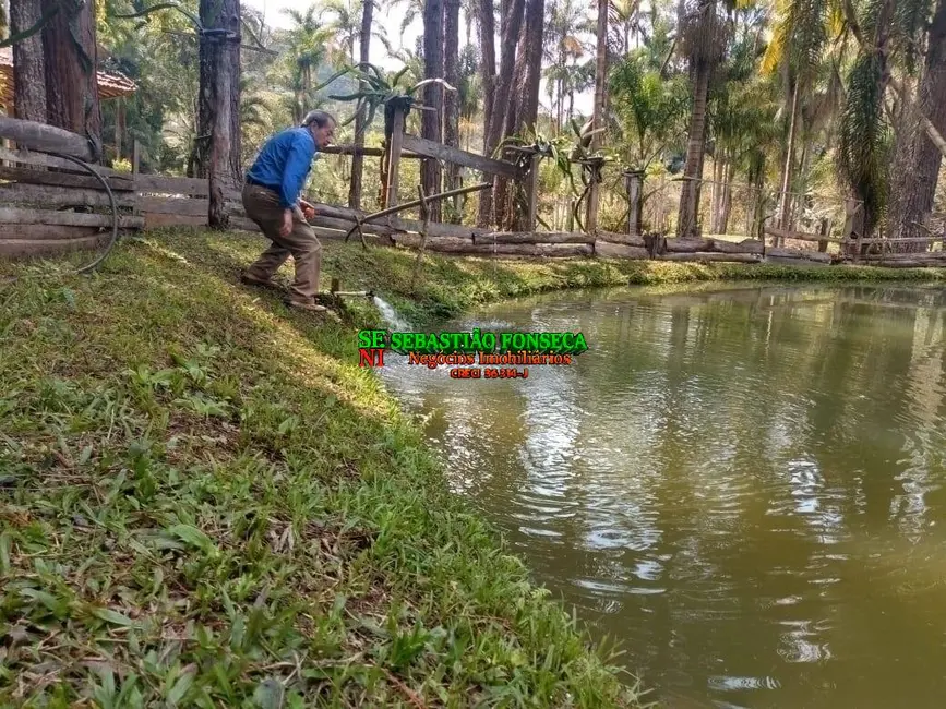 Foto 3 de Fazenda / Haras com 7 quartos à venda, 39m2 em Centro, Jambeiro - SP