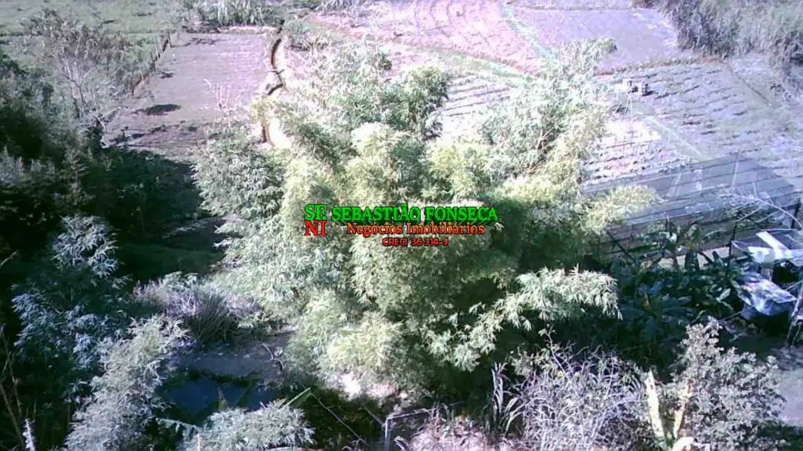 Chácara com 3 quartos à venda, 10000m2 em Sao Jose Dos Campos - SP - imagem 4 Foto 4 de Chácara com 3 quartos à venda, 10000m2 em Sao Jose Dos Campos - SP