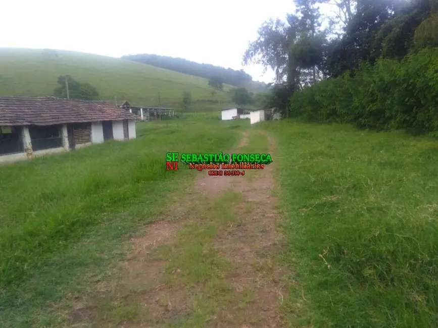 Foto 3 de Fazenda / Haras com 4 quartos à venda, 18m2 em Centro, Jambeiro - SP