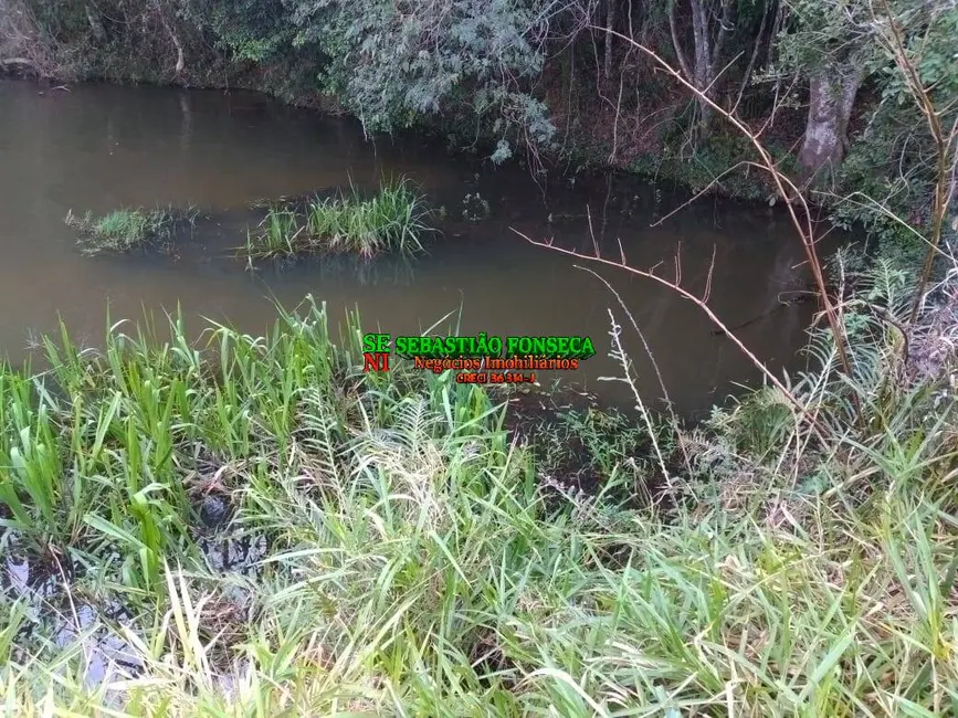 Sítio / Rancho com 7 quartos à venda, 30000m2 em Paraibuna - SP - imagem 5 Foto 5 de Sítio / Rancho com 7 quartos à venda, 30000m2 em Paraibuna - SP