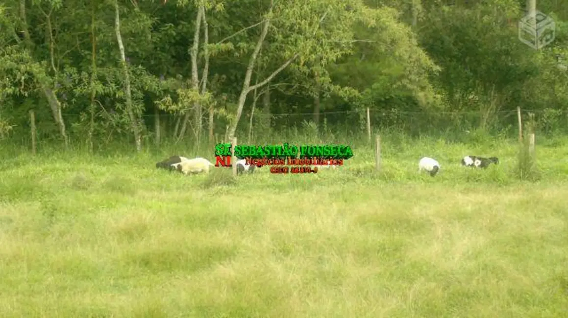 Foto 3 de Fazenda / Haras à venda, 871200m2 em Centro, Monteiro Lobato - SP