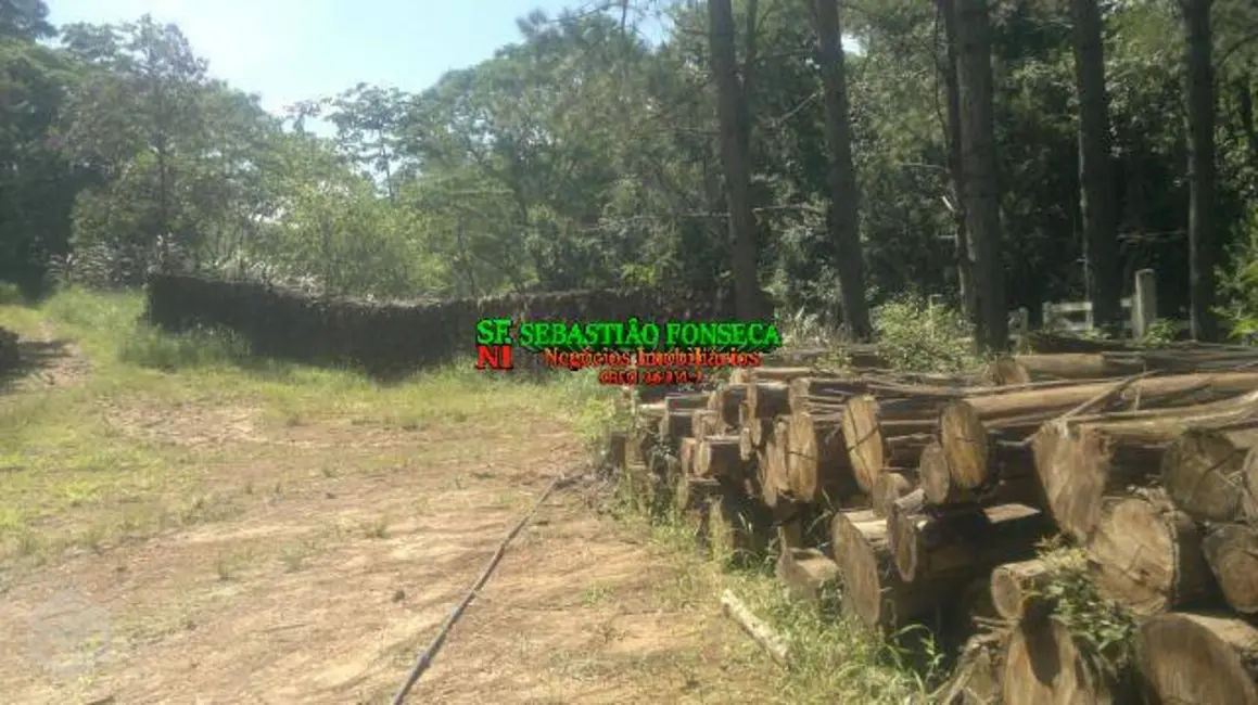 Foto 1 de Fazenda / Haras à venda, 871200m2 em Centro, Monteiro Lobato - SP