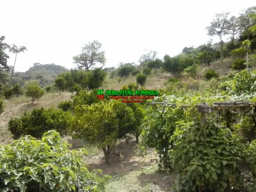 Sítio / Rancho à venda, 33880m2 em Centro, Paraibuna - SP - imagem 9 Foto 9 de Sítio / Rancho à venda, 33880m2 em Centro, Paraibuna - SP