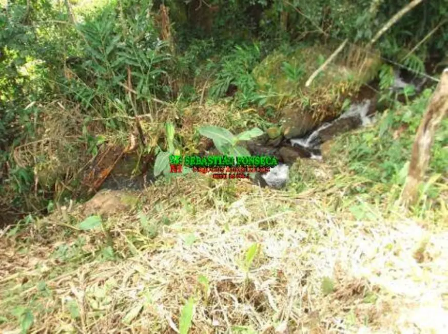 Foto 4 de Terreno / Lote à venda, 600m2 em Centro, Virginia - MG