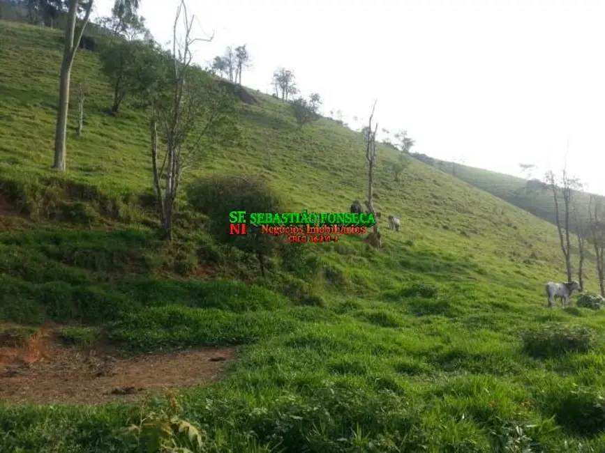 Foto 7 de Sítio / Rancho à venda, 20000m2 em Sao Jose Dos Campos - SP