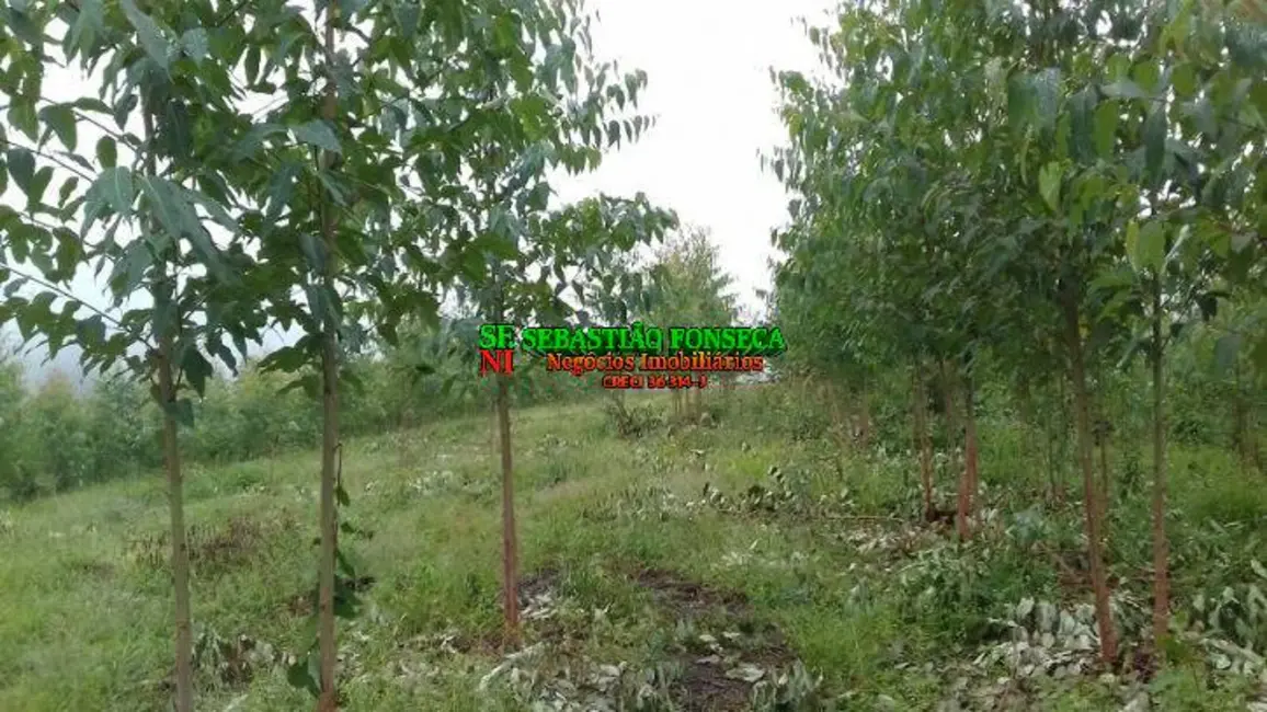 Foto 9 de Sítio / Rancho à venda, 30000m2 em Centro, Monteiro Lobato - SP