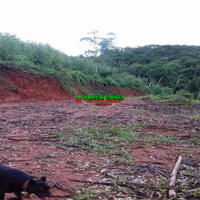 Foto 1 de Chácara à venda em Centro, Monteiro Lobato, SP