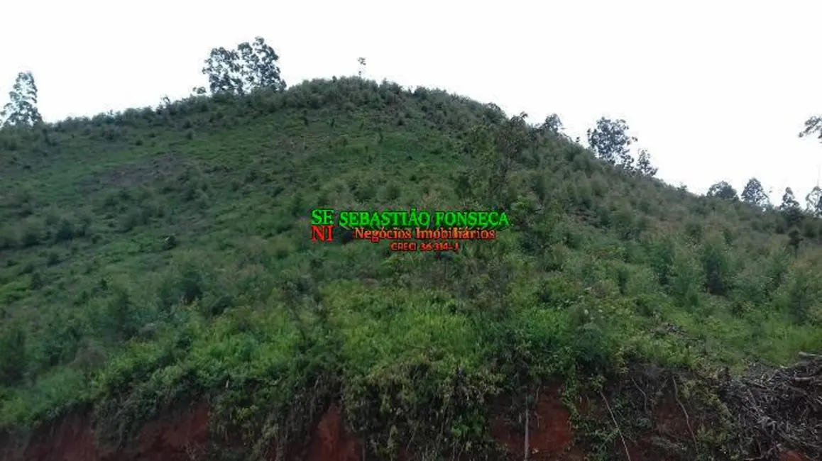Foto 20 de Chácara à venda em Centro, Monteiro Lobato - SP