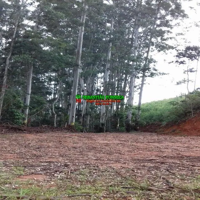 Foto 18 de Chácara à venda em Centro, Monteiro Lobato - SP