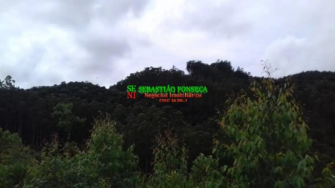 Foto 19 de Chácara à venda em Centro, Monteiro Lobato - SP