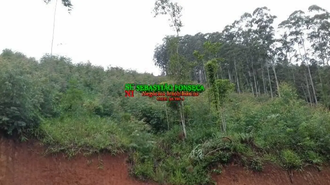 Foto 13 de Chácara à venda em Centro, Monteiro Lobato - SP