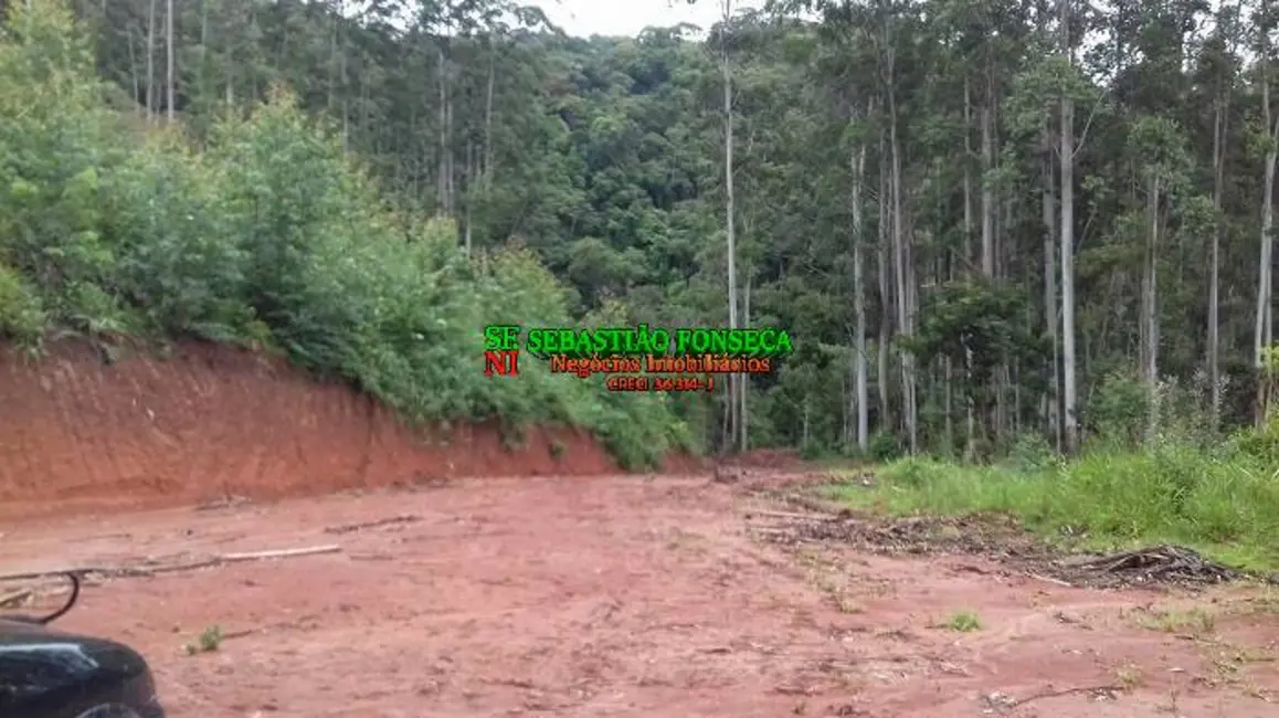 Foto 17 de Chácara à venda em Centro, Monteiro Lobato - SP
