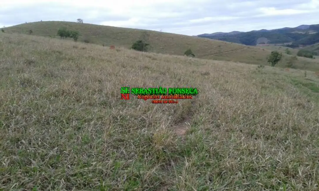 Foto 9 de Chácara à venda, 302m2 em Centro, Santa Branca - SP