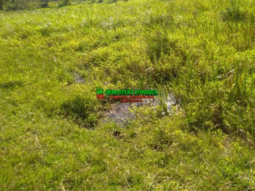 Foto 15 de Sítio / Rancho à venda em Paraibuna - SP