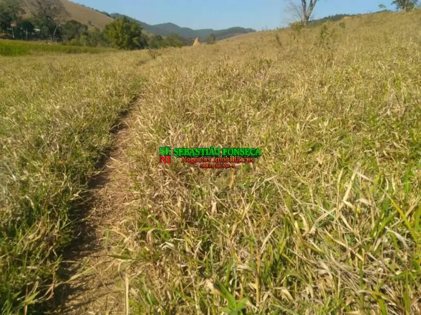 Foto 13 de Sítio / Rancho à venda em Paraibuna - SP