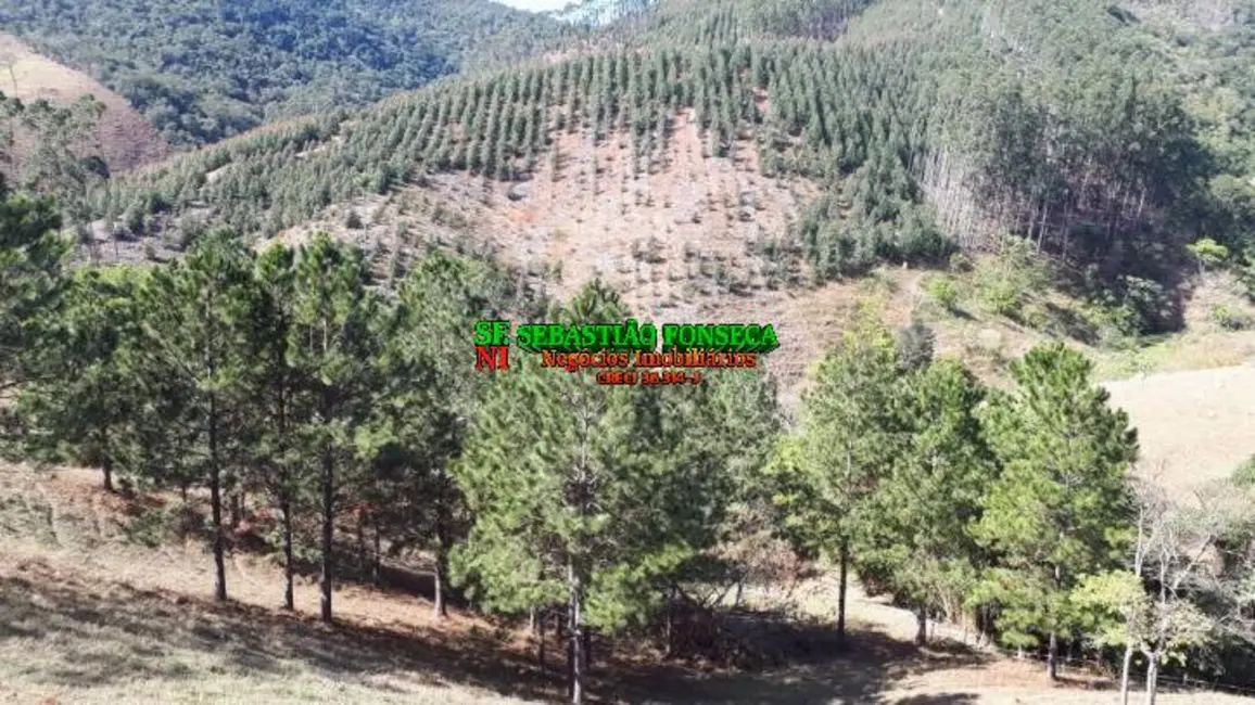 Foto 15 de Sítio / Rancho à venda em Centro, Paraibuna - SP