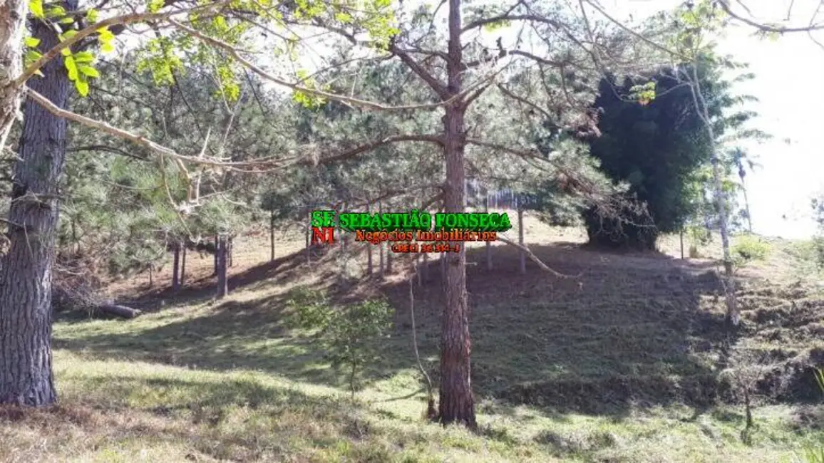 Foto 2 de Sítio / Rancho à venda em Centro, Paraibuna - SP