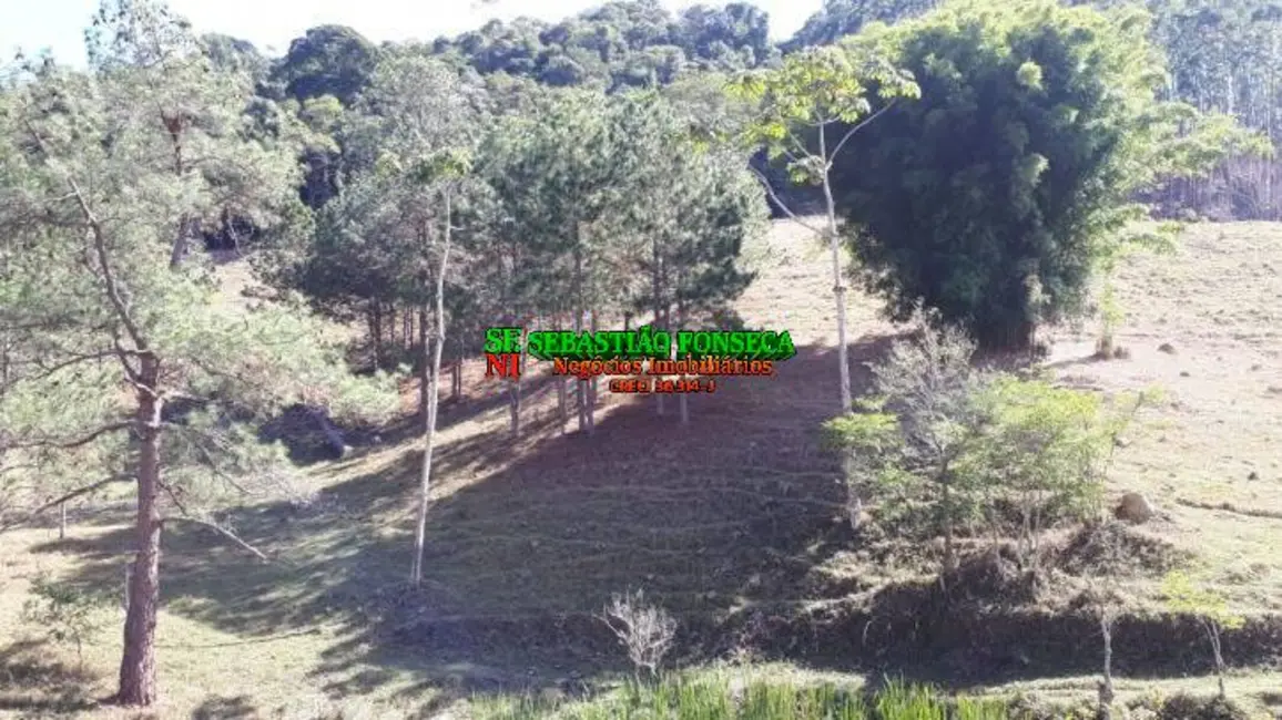 Sítio / Rancho à venda em Centro, Paraibuna - SP - imagem 9 Foto 9 de Sítio / Rancho à venda em Centro, Paraibuna - SP