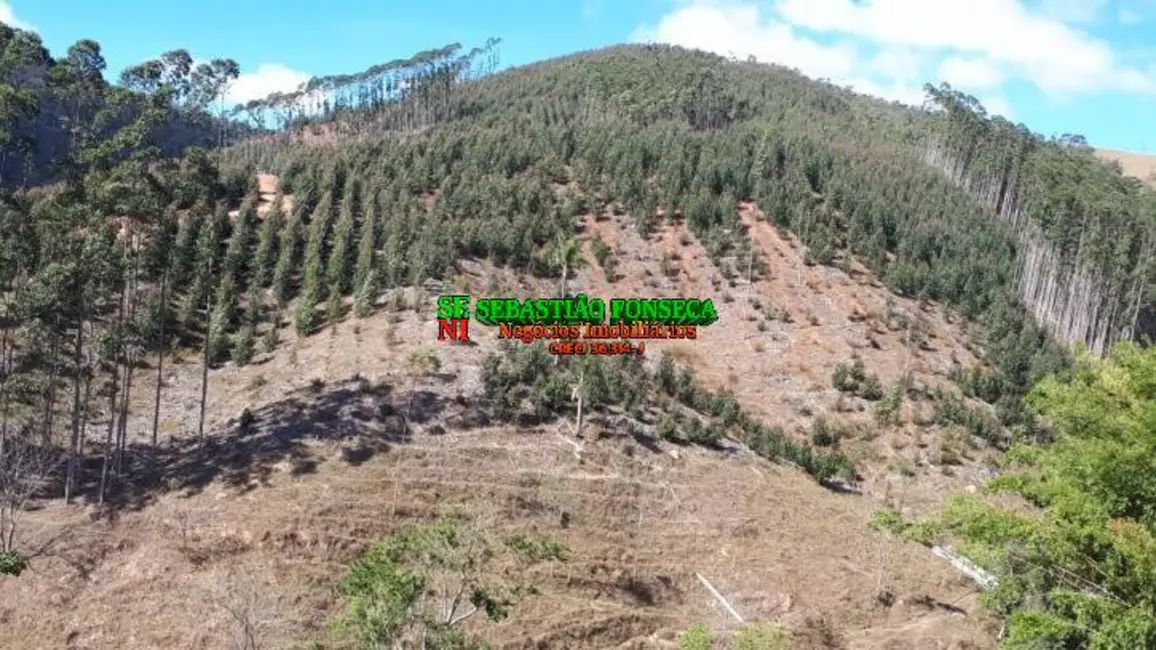 Foto 13 de Sítio / Rancho à venda em Centro, Paraibuna - SP