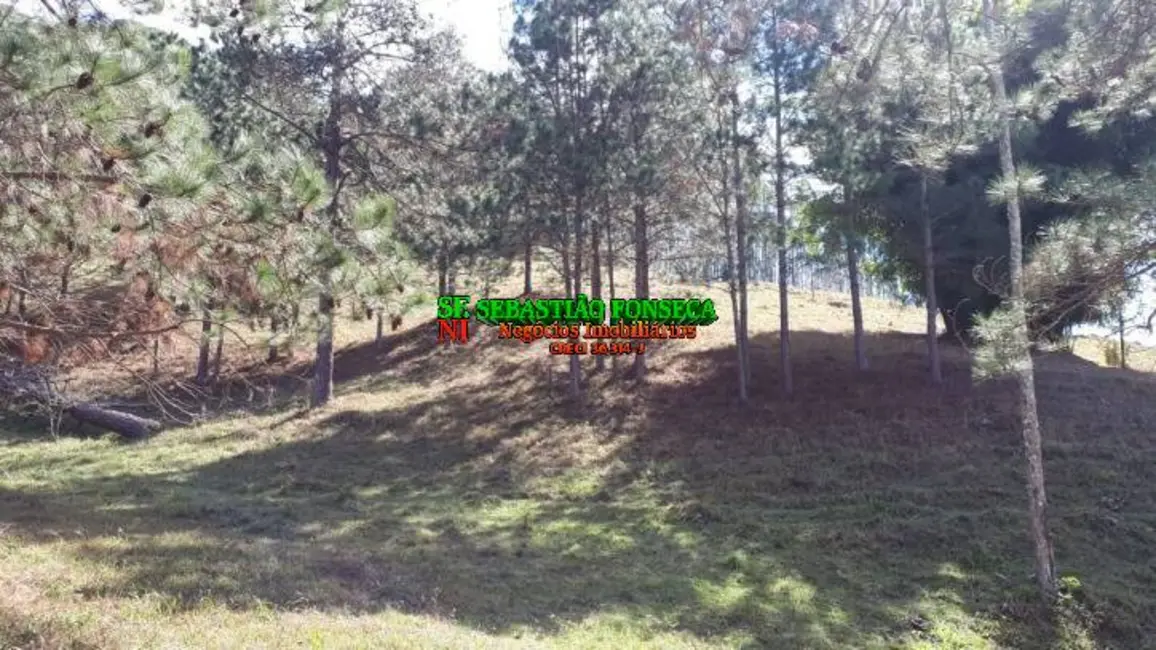 Foto 18 de Sítio / Rancho à venda em Centro, Paraibuna - SP