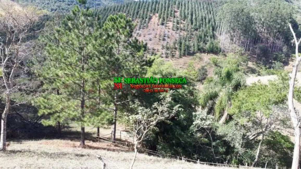 Sítio / Rancho à venda em Centro, Paraibuna - SP - imagem 7 Foto 7 de Sítio / Rancho à venda em Centro, Paraibuna - SP