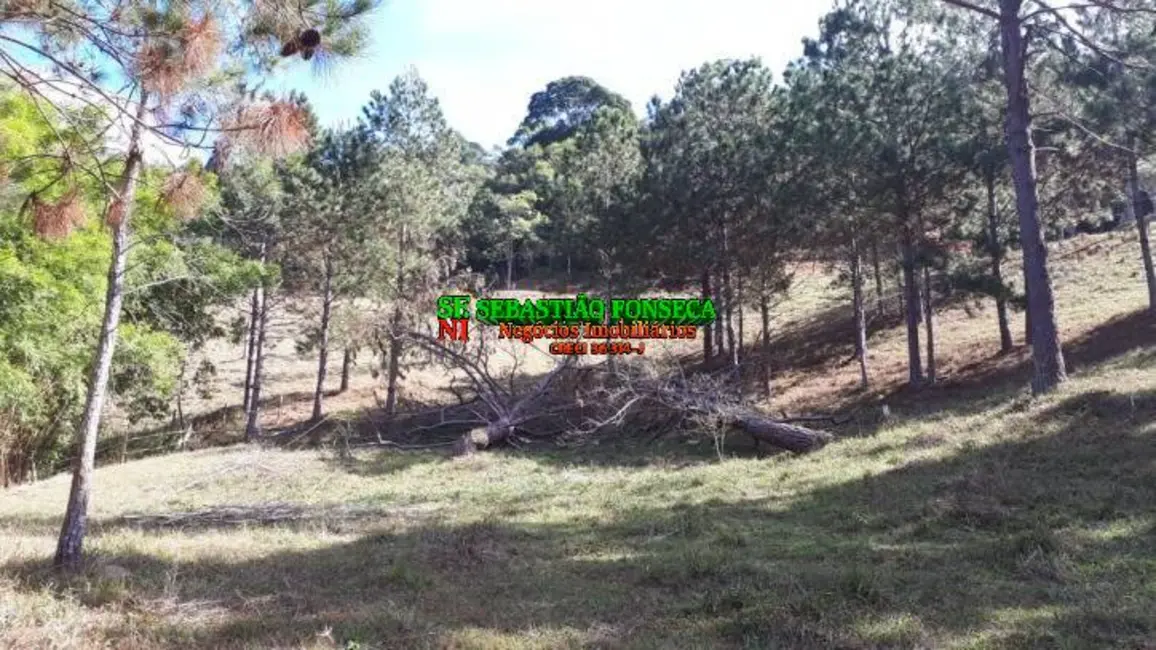 Sítio / Rancho à venda em Centro, Paraibuna - SP - imagem 8 Foto 8 de Sítio / Rancho à venda em Centro, Paraibuna - SP