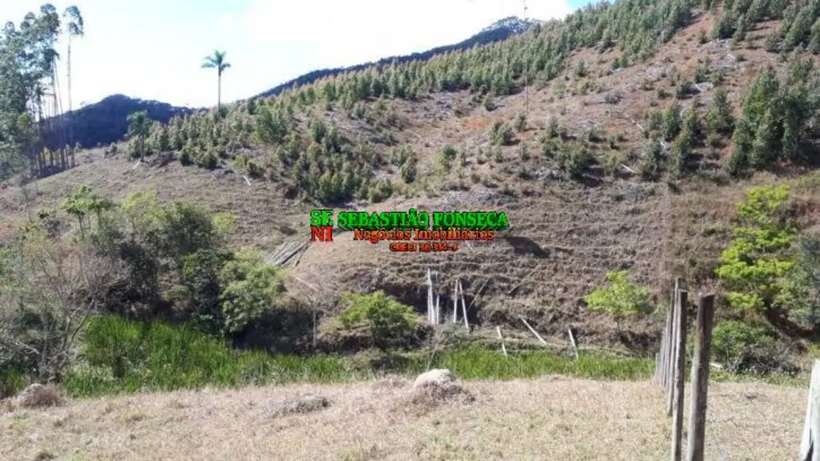 Sítio / Rancho à venda em Centro, Paraibuna - SP - imagem 6 Foto 6 de Sítio / Rancho à venda em Centro, Paraibuna - SP