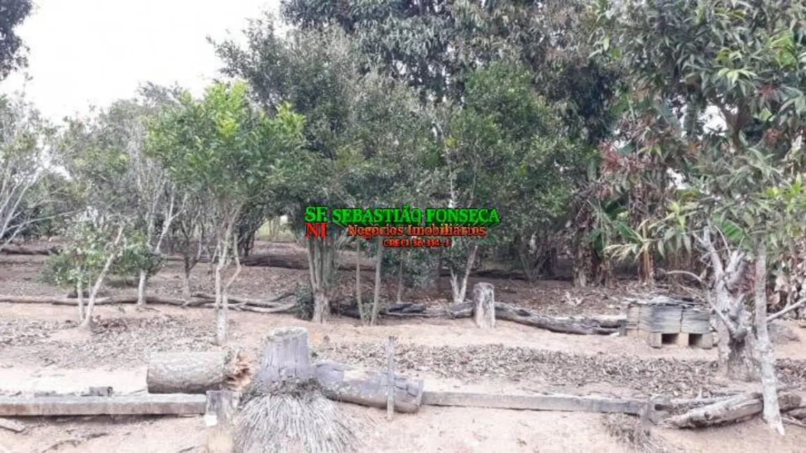 Chácara com 2 quartos à venda, 6200m2 em Centro, Paraibuna - SP - imagem 8 Foto 8 de Chácara com 2 quartos à venda, 6200m2 em Centro, Paraibuna - SP