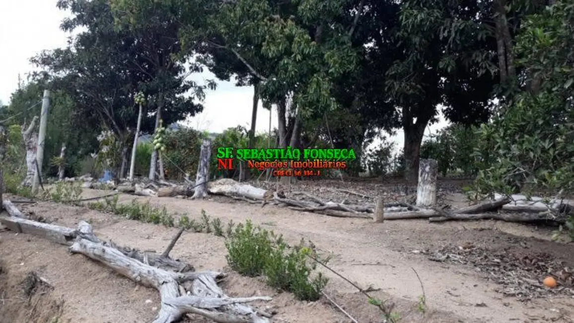 Chácara com 2 quartos à venda, 6200m2 em Centro, Paraibuna - SP - imagem 4 Foto 4 de Chácara com 2 quartos à venda, 6200m2 em Centro, Paraibuna - SP