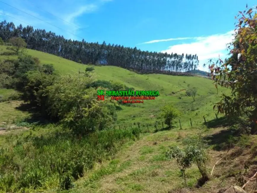 Sítio / Rancho à venda, 91160m2 em Centro, Paraibuna - SP - imagem 8 Foto 8 de Sítio / Rancho à venda, 91160m2 em Centro, Paraibuna - SP