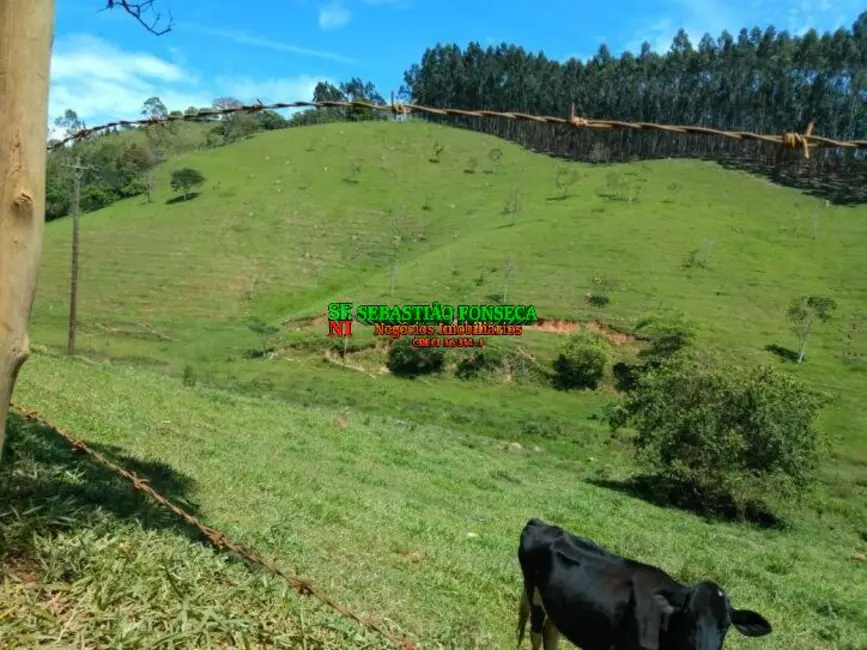 Sítio / Rancho à venda, 91160m2 em Centro, Paraibuna - SP - imagem 7 Foto 7 de Sítio / Rancho à venda, 91160m2 em Centro, Paraibuna - SP