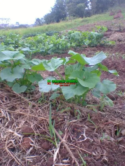 Foto 5 de Terreno / Lote à venda, 500m2 em Sao Jose Dos Campos - SP
