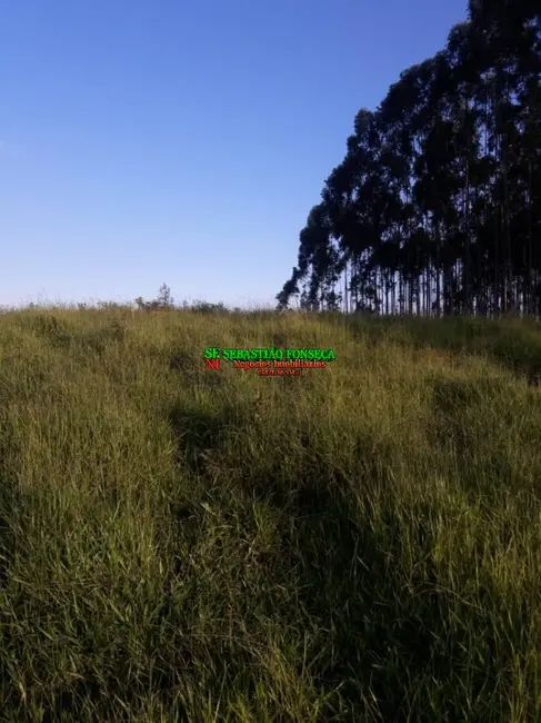 Foto 16 de Chácara à venda, 2000m2 em Jambeiro - SP