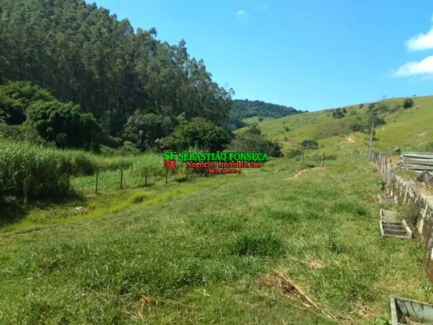 Fazenda / Haras à venda, 58m2 em Centro, Paraibuna - SP - imagem 8 Foto 8 de Fazenda / Haras à venda, 58m2 em Centro, Paraibuna - SP