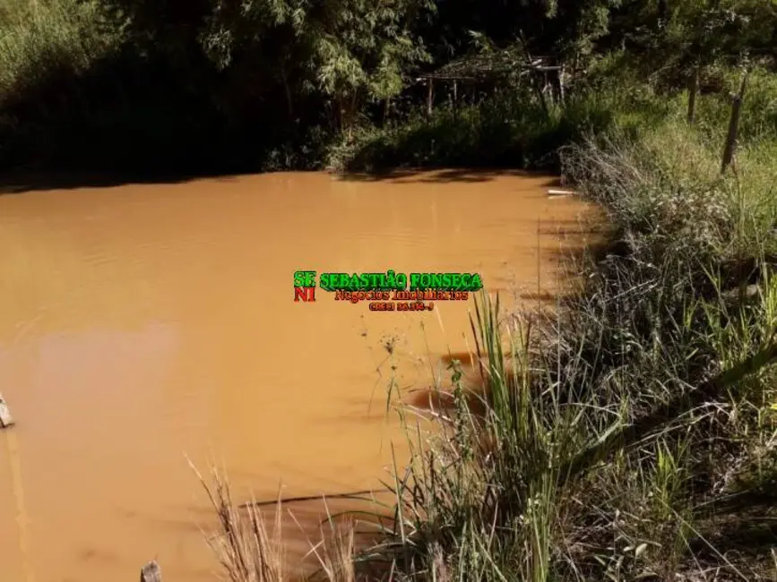 Chácara à venda, 4000m2 em Jambeiro - SP - imagem 3 Foto 3 de Chácara à venda, 4000m2 em Jambeiro - SP