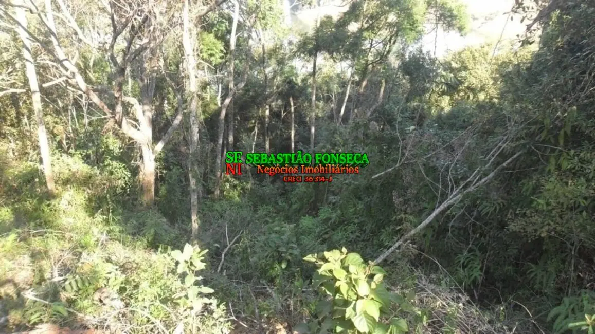 Foto 3 de Chácara à venda, 1000m2 em Centro, Jambeiro - SP