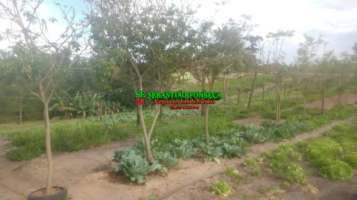 Foto 5 de Sítio / Rancho com 2 quartos à venda, 23000m2 em Quadra - SP