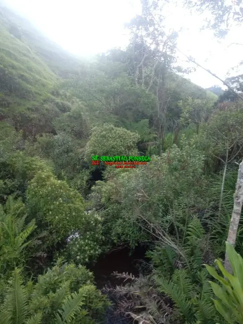 Sítio / Rancho com 2 quartos à venda, 37000m2 em Centro, Marmelopolis - MG - imagem 8 Foto 8 de Sítio / Rancho com 2 quartos à venda, 37000m2 em Centro, Marmelopolis - MG
