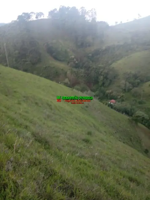 Sítio / Rancho com 2 quartos à venda, 37000m2 em Centro, Marmelopolis - MG - imagem 7 Foto 7 de Sítio / Rancho com 2 quartos à venda, 37000m2 em Centro, Marmelopolis - MG