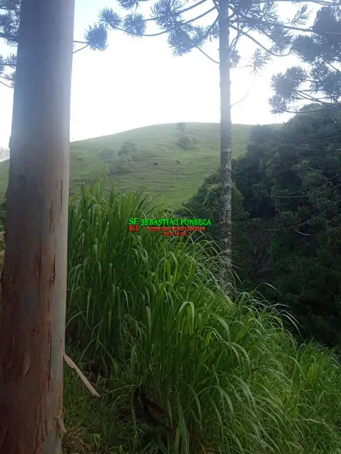 Sítio / Rancho com 2 quartos à venda, 37000m2 em Centro, Marmelopolis - MG - imagem 5 Foto 5 de Sítio / Rancho com 2 quartos à venda, 37000m2 em Centro, Marmelopolis - MG