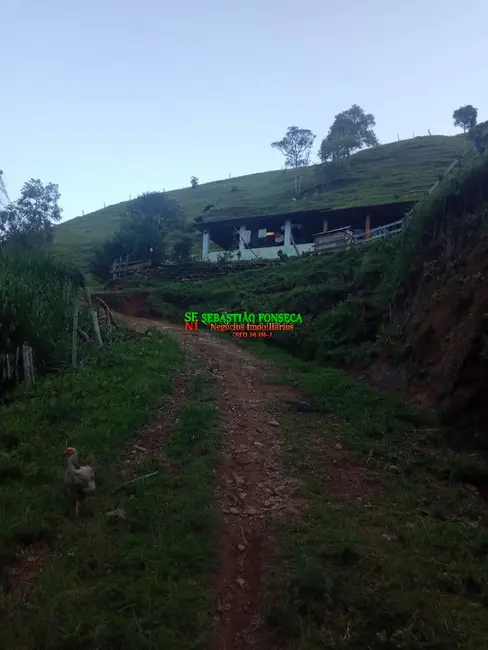 Sítio / Rancho com 2 quartos à venda, 37000m2 em Centro, Marmelopolis - MG - imagem 6 Foto 6 de Sítio / Rancho com 2 quartos à venda, 37000m2 em Centro, Marmelopolis - MG