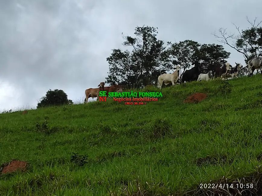Foto 1 de Fazenda / Haras com 2 quartos à venda, 10m2 em Centro, Jambeiro - SP