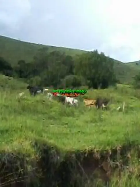 Foto 8 de Fazenda / Haras com 2 quartos à venda, 10m2 em Centro, Jambeiro - SP