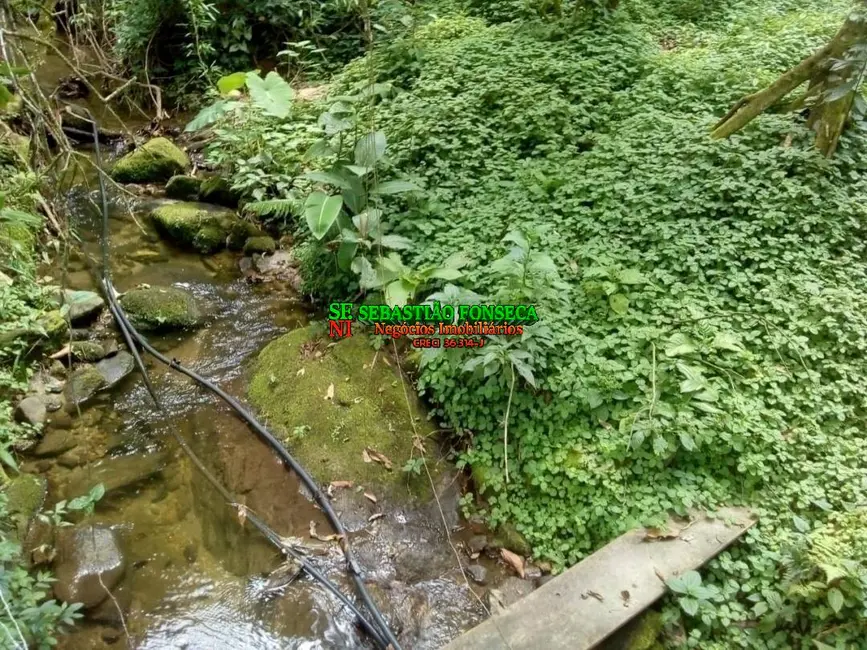Foto 6 de Chácara com 3 quartos à venda, 16490m2 em Centro, Caraguatatuba - SP